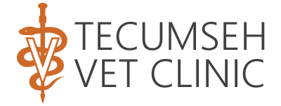 Tecumseh Vet Clinic | Veterinarian in Tecumseh, OK 74873