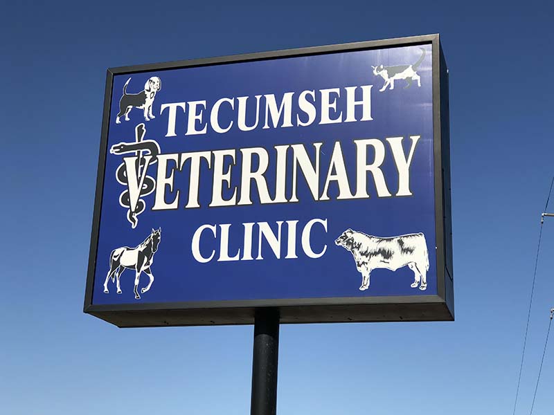 Photo Gallery | Tecumseh Vet Clinic